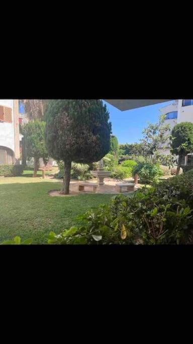 Estudio Montanar A 50 Metros Del Mar Jávea エクステリア 写真